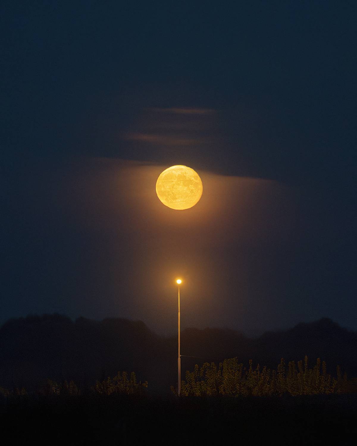 Фонари. Автор: Курмышов Иван , Курмышов Иван