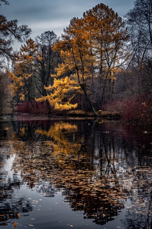 Уходящая осеньphoto preview