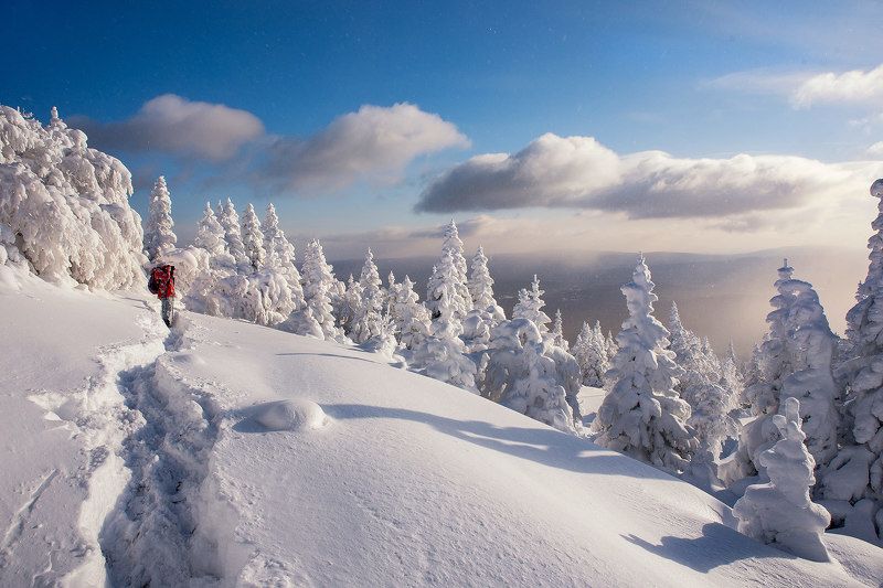 снег, зима, сугробы, елки, облака, природа, пейзаж, уреньга, урал Белоснежные далиphoto preview