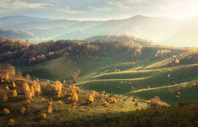 алтайский край, солонешенский район, холмогорье, предгорья, алтайское холмогорье, золотая осень, солонешье Алтайская Хоббитания фото превью