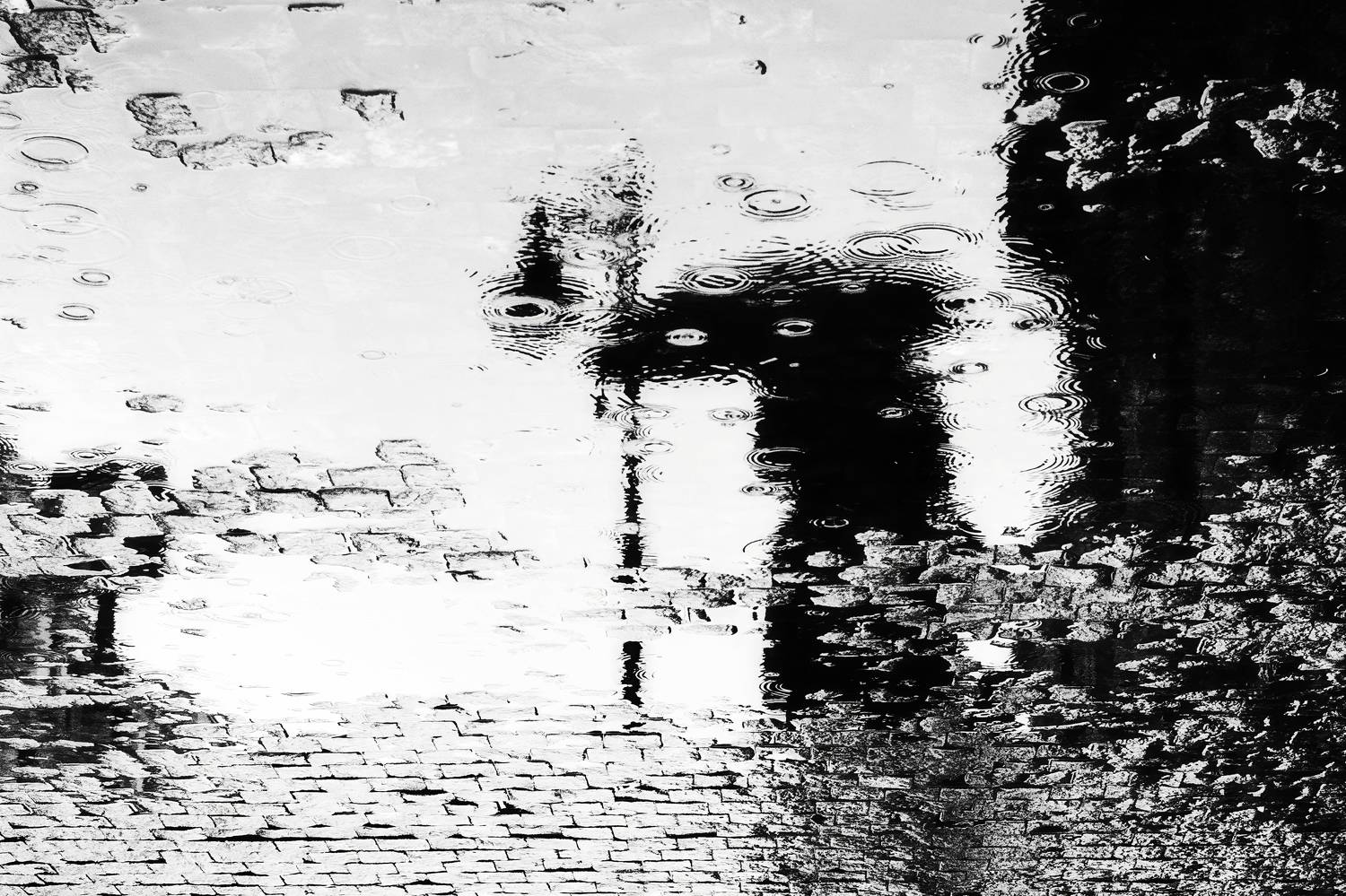 Rain in the city. Автор: Bobus , Bobus