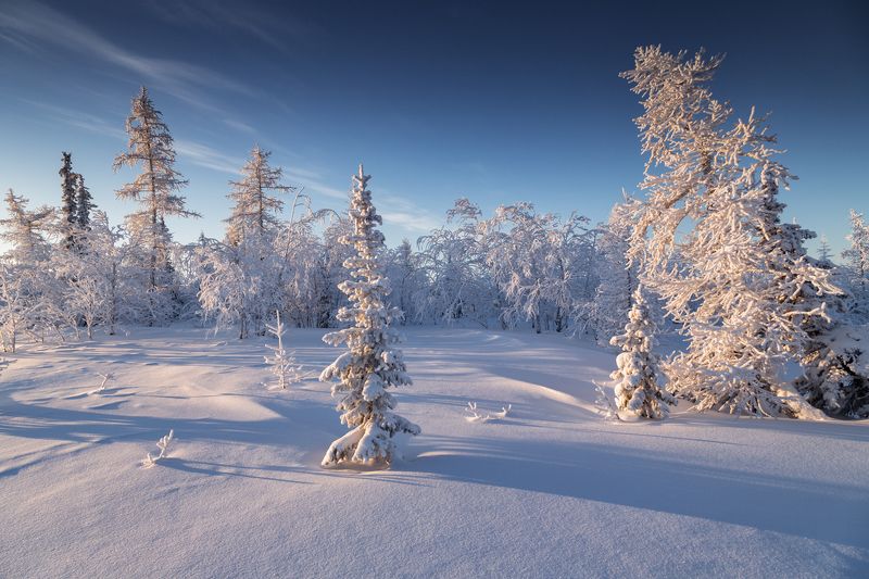 * * * фото превью