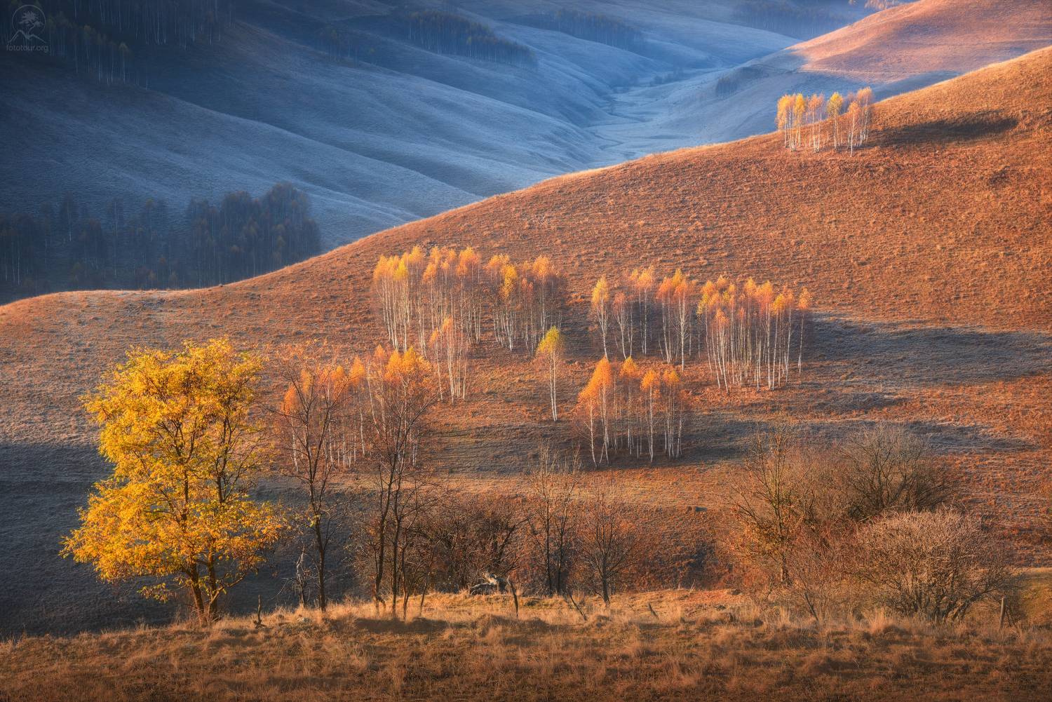 apuseni, romania, Гордиенко Анатолий