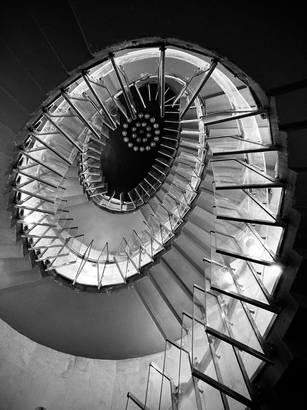 Папоротникphoto preview