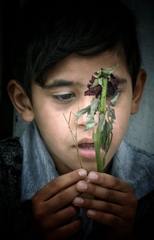 My sadness for you has no limits... any breath of air or a drop of waterphoto preview