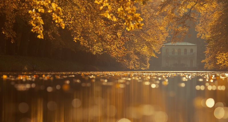 The fisherman\'s housephoto preview