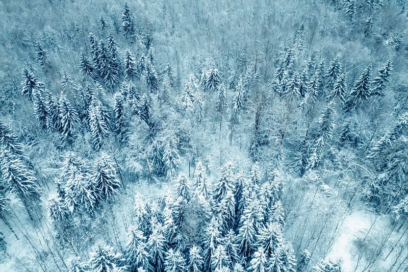 Latvian winter Winter dressphoto preview