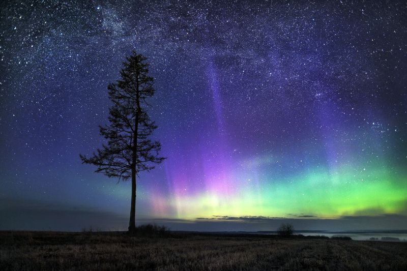 Грёзы... фото превью