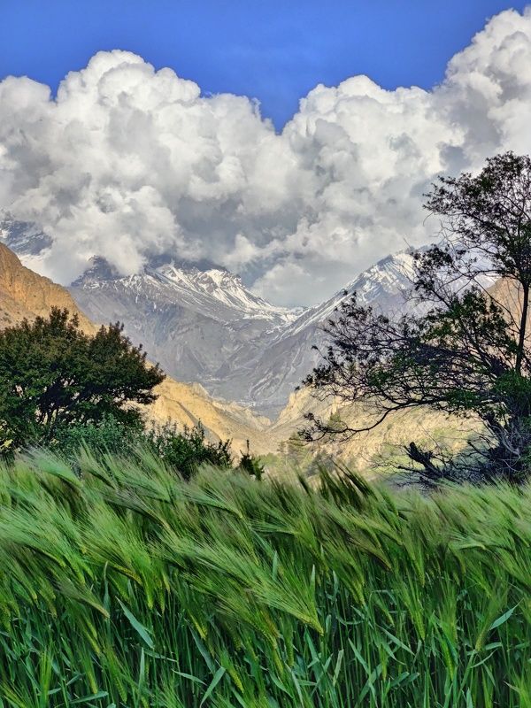 непал, гималаи, горы, nepal, himalaya, mountains  фото превью