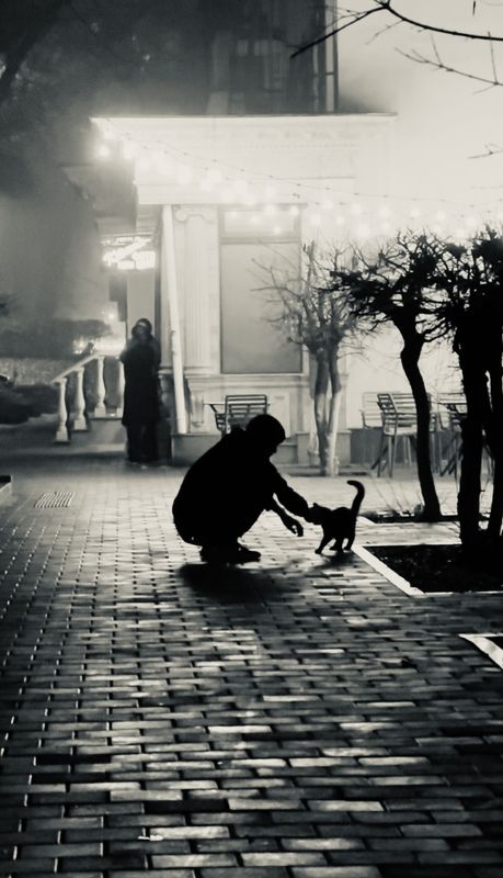 шаварёв, стрит, город, алматы, Друг.photo preview