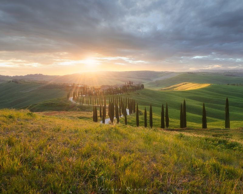 Майский вечер в Тосканеphoto preview