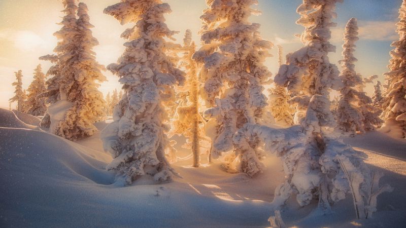 шерегеш, сибирь, снег, кузбасс Мороза проделки... фото превью