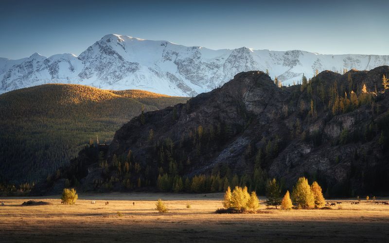 алтай, горный алтай, пейзажи алтая, кош-агачский район, северо-чуйский хребет, золотая осень, горы, осенний алтай, горная тайга, горный хребет У белой стеныphoto preview