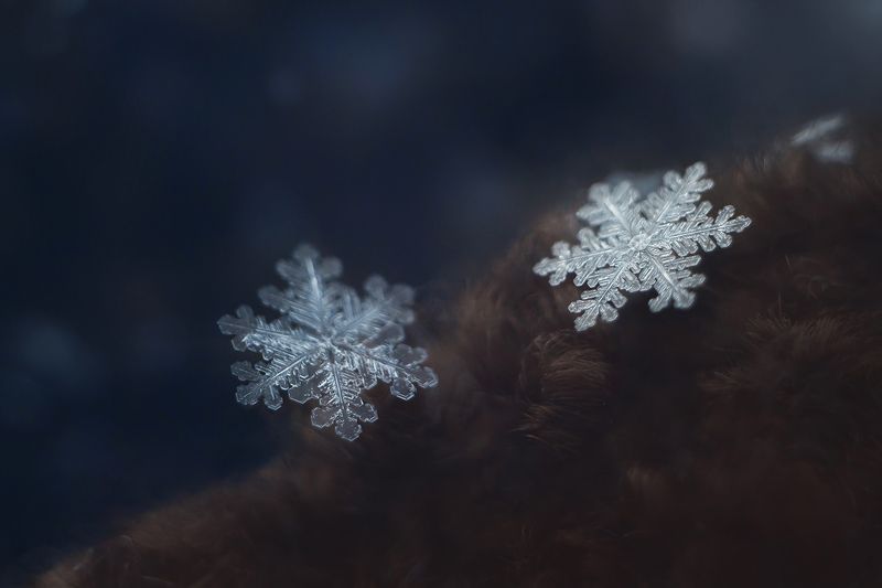 зима, снег, снежинки Ювелирная мастерская Зимушки снова открытаphoto preview