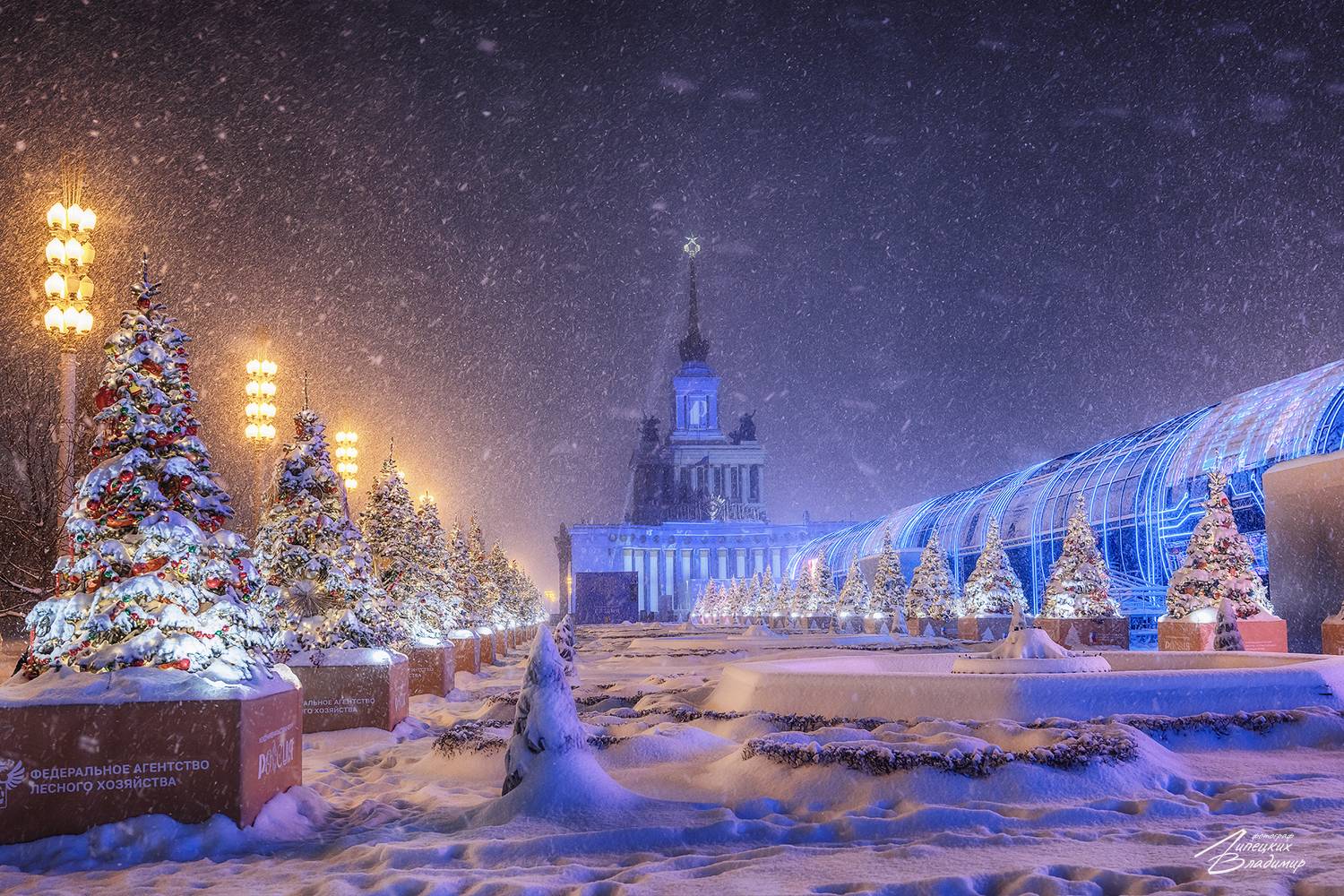 ВДНХ. Автор: Липецких Владимир вднх, снег, метель, Липецких Владимир