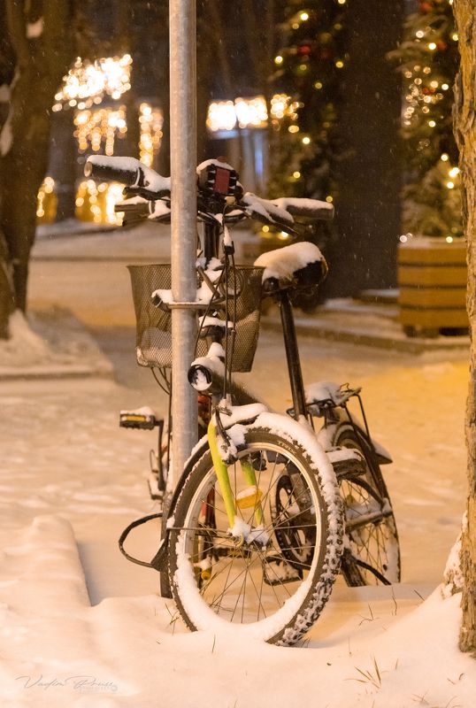Зеленоградск, Калининградская область, велосипеды, стрит, фотография, снег, Свирин Вадим, 2022, ночь «Примороженные»photo preview