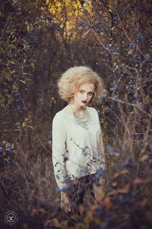 Теплый закат холодного октябряphoto preview