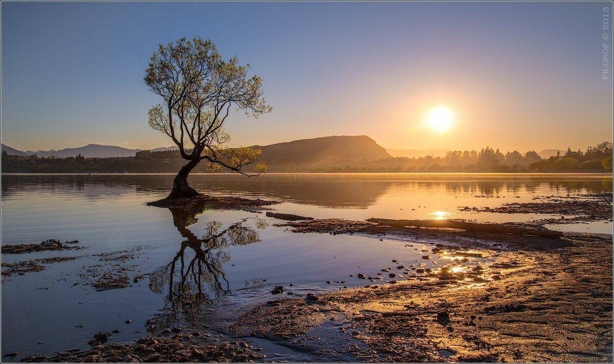 Озеро Ванака на рассвете. Автор: Геннадий FILOSOF Шатов , Геннадий FILOSOF Шатов