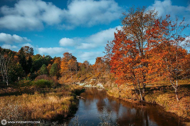 пейзаж,природа,осень,день,золотая,ноябрь,октябрь,солнце,landscape,autumn,nature,sky,day,gold Тёплое Осеннееphoto preview