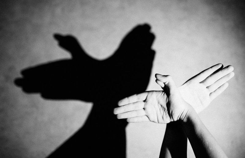 руки, тени, птица, чб Птицаphoto preview