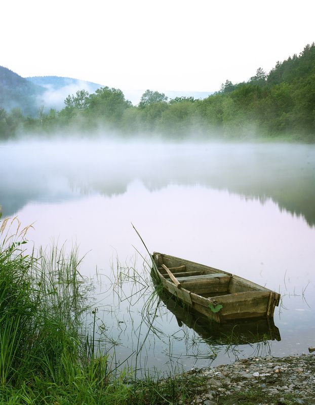 artracurs, Russia