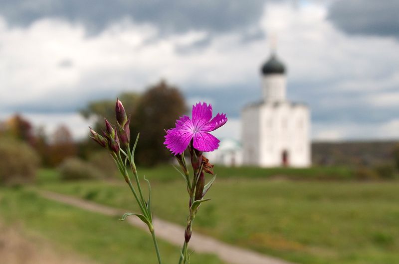 храм покрова на нерли, русь, россия, православие, 850-летие, боголюбово Храмphoto preview