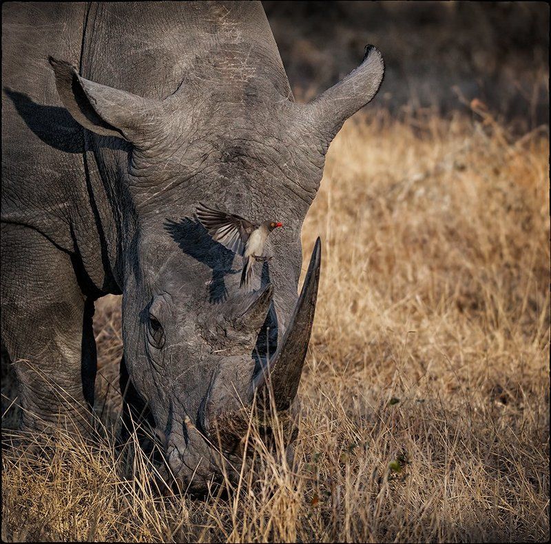 Аэропортphoto preview