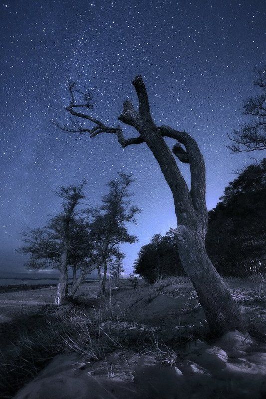 Тихий шепот звездphoto preview