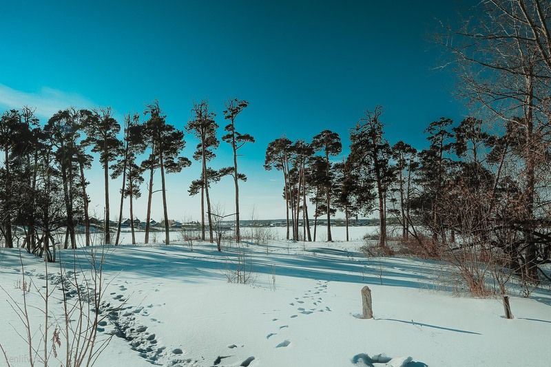 Evgeniy Litvinov, Russia