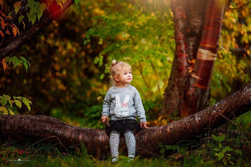 девочка, осень, дерево, лес В осеннем лесуphoto preview