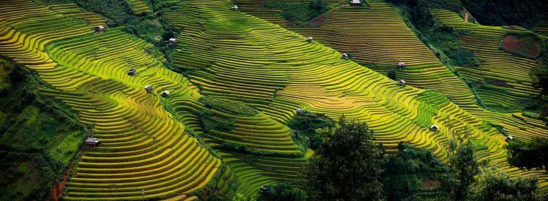 quanphoto, Vietnam
