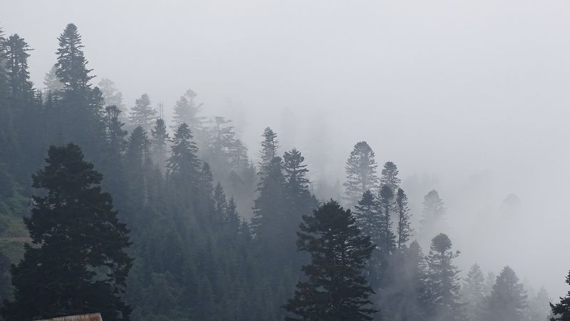 Автандил, Georgia