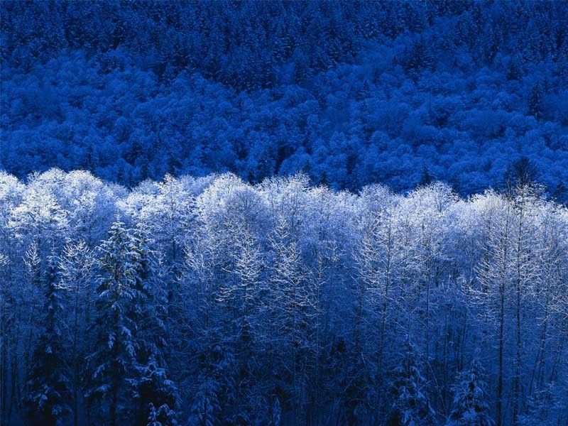 шамсит, Russia