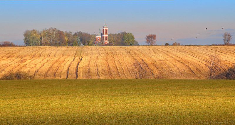 осень, поля, солнце, храм Осенние поляphoto preview