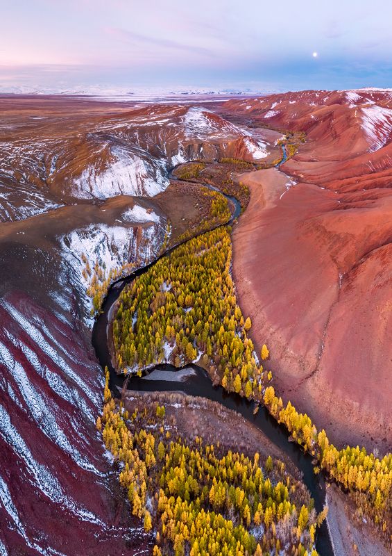 алтай, сибирь, россия, река, осень, горы, природа, пейзаж, рассвет, луна, altai, siberia, russia, river, autumn, mountains, nature, landscape, dawn, moon Лунное утро в урочище Кокоряphoto preview