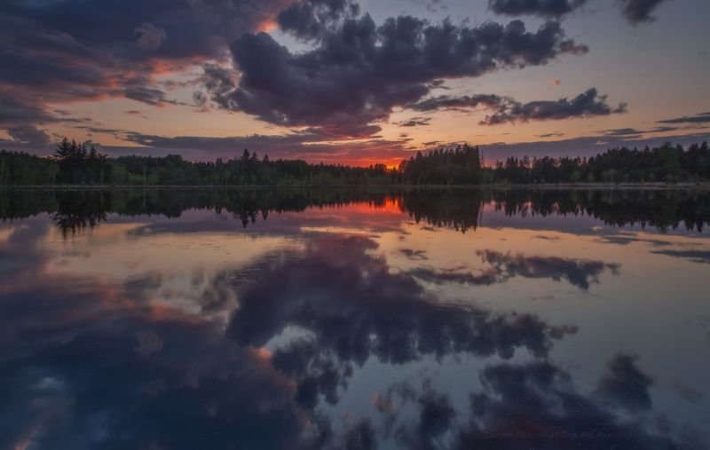 питер, пейзаж, ленобласть, луга, ленинградская область В белую ночьphoto preview