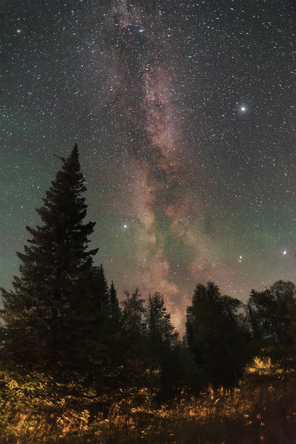 ночь, астрофотография, астрофото, млечный путь, звездное небо, тайга, сибирь, night, nightphotography, stars, milkyway, longexposure, taiga, wood, Кудашкина Ксения