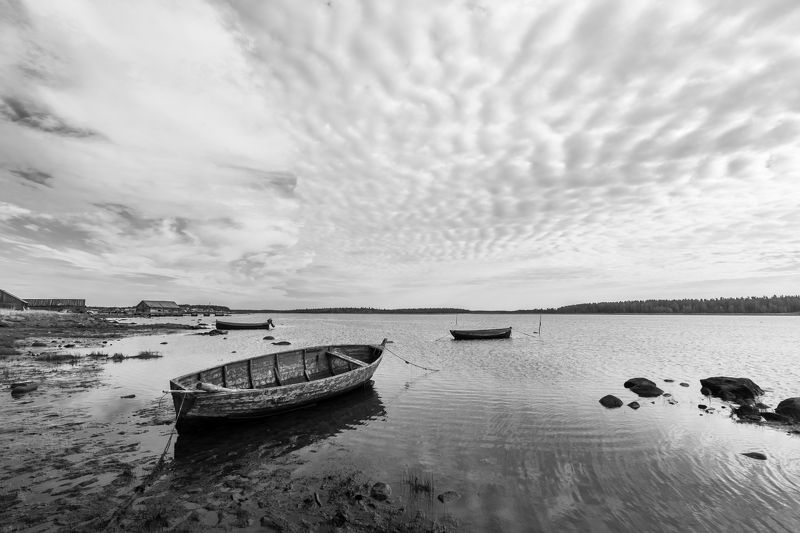 белое море, калгалакша ***photo preview