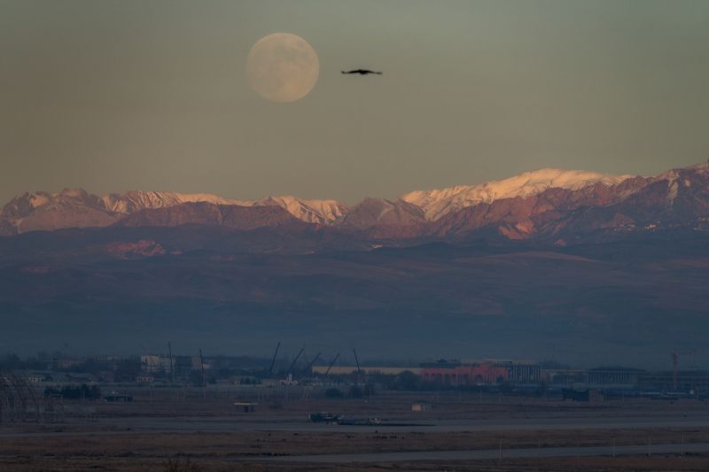 ташкент Beaver Moon Risingphoto preview