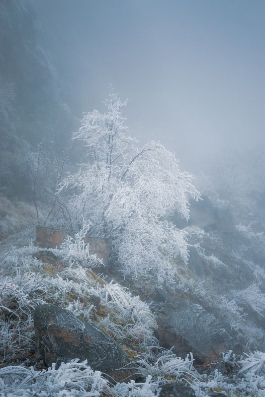 туман, кмв, змейка, иней, зима Зима на горе Змейкаphoto preview