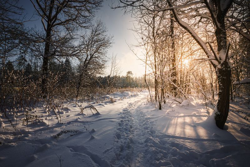 зима декабрь Московская обл. Вот и зима...photo preview