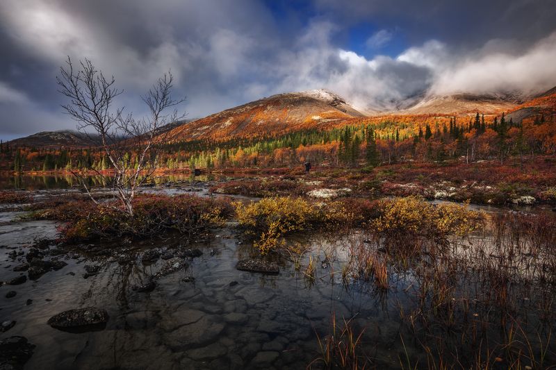 Осень в Хибинахphoto preview