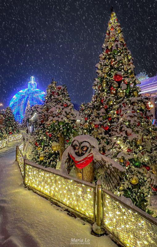 Сказочный лесphoto preview