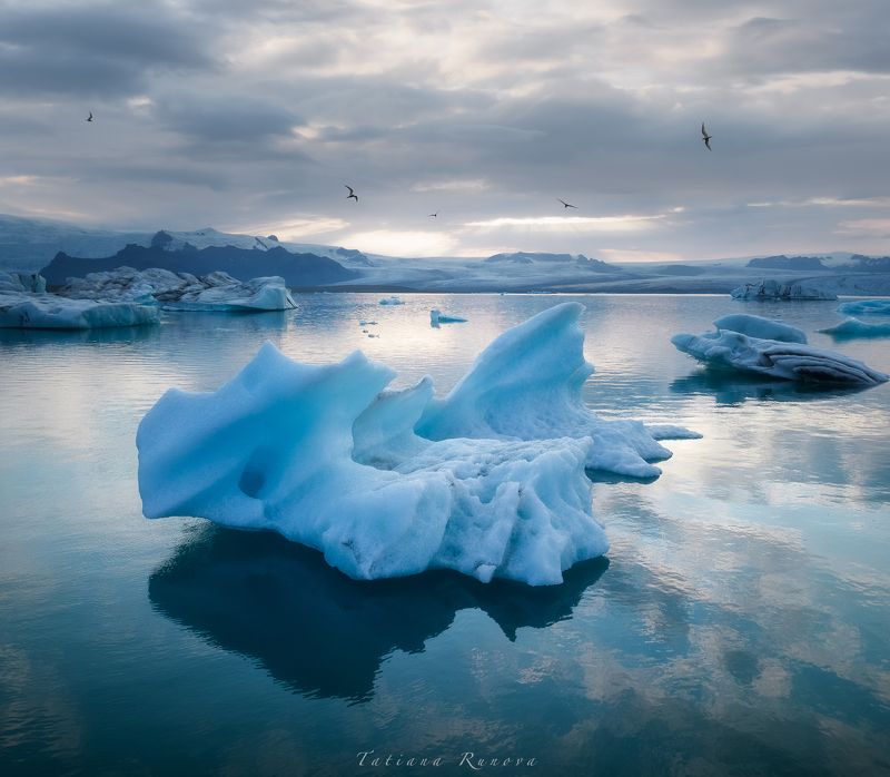Айсберги и птицыphoto preview