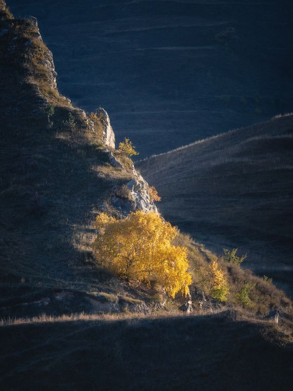 дагестан Гори, но не сжигайphoto preview