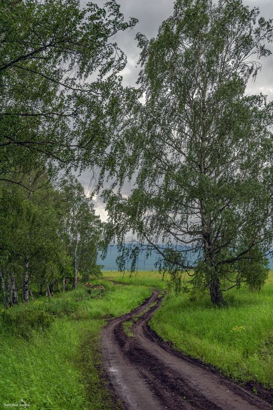 лето, природа, челябинская область ***photo preview