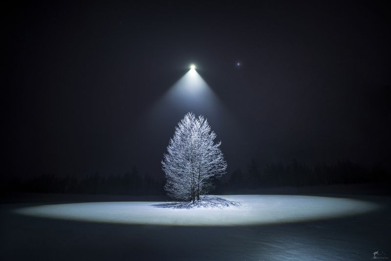 На сцене - Зимаphoto preview