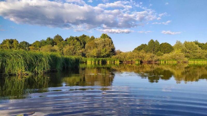 пейзаж, красота, природа Вечереет. О.Хутор Борphoto preview