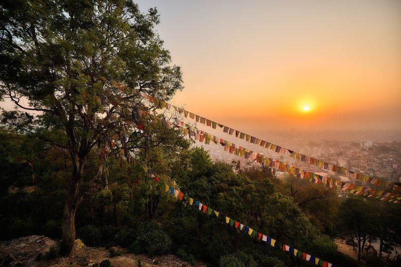 Звезда, дарующая жизнь.photo preview