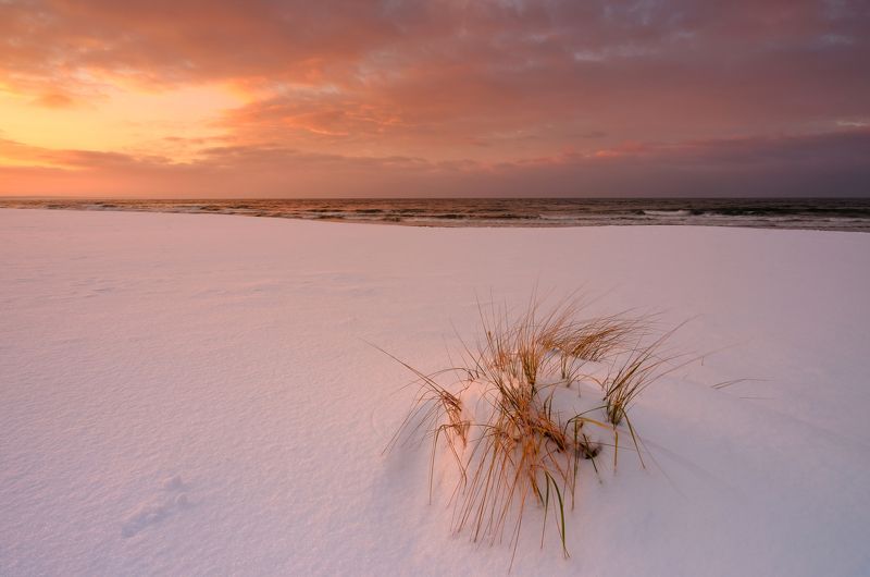 Winter coast of the Baltic Seaphoto preview